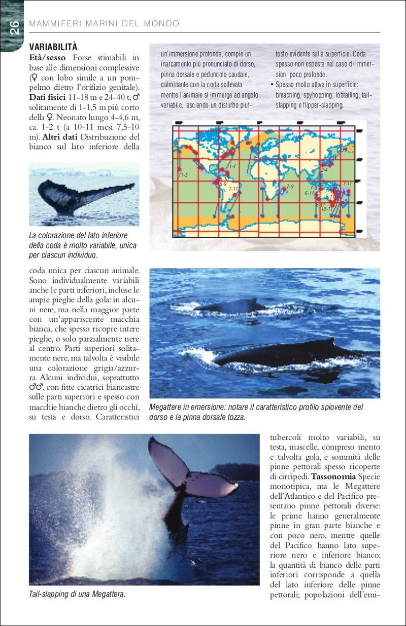 Balene, delfini e foche. Guida da campo ai mammiferi marini del mondo