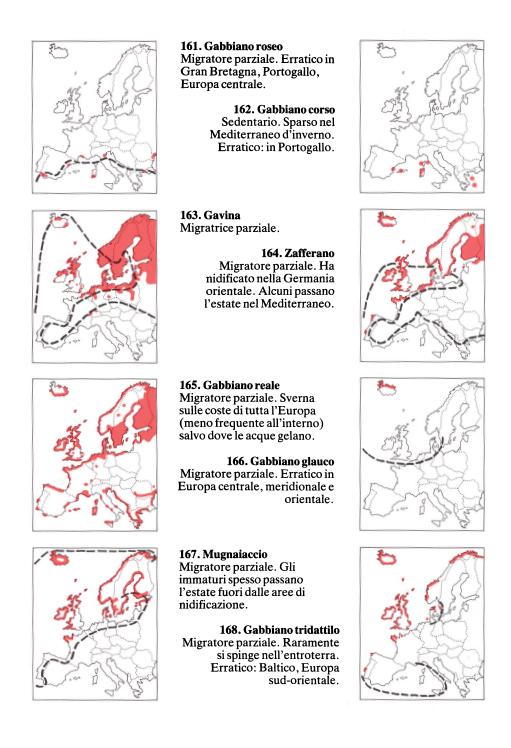 Guida degli uccelli d'Europa